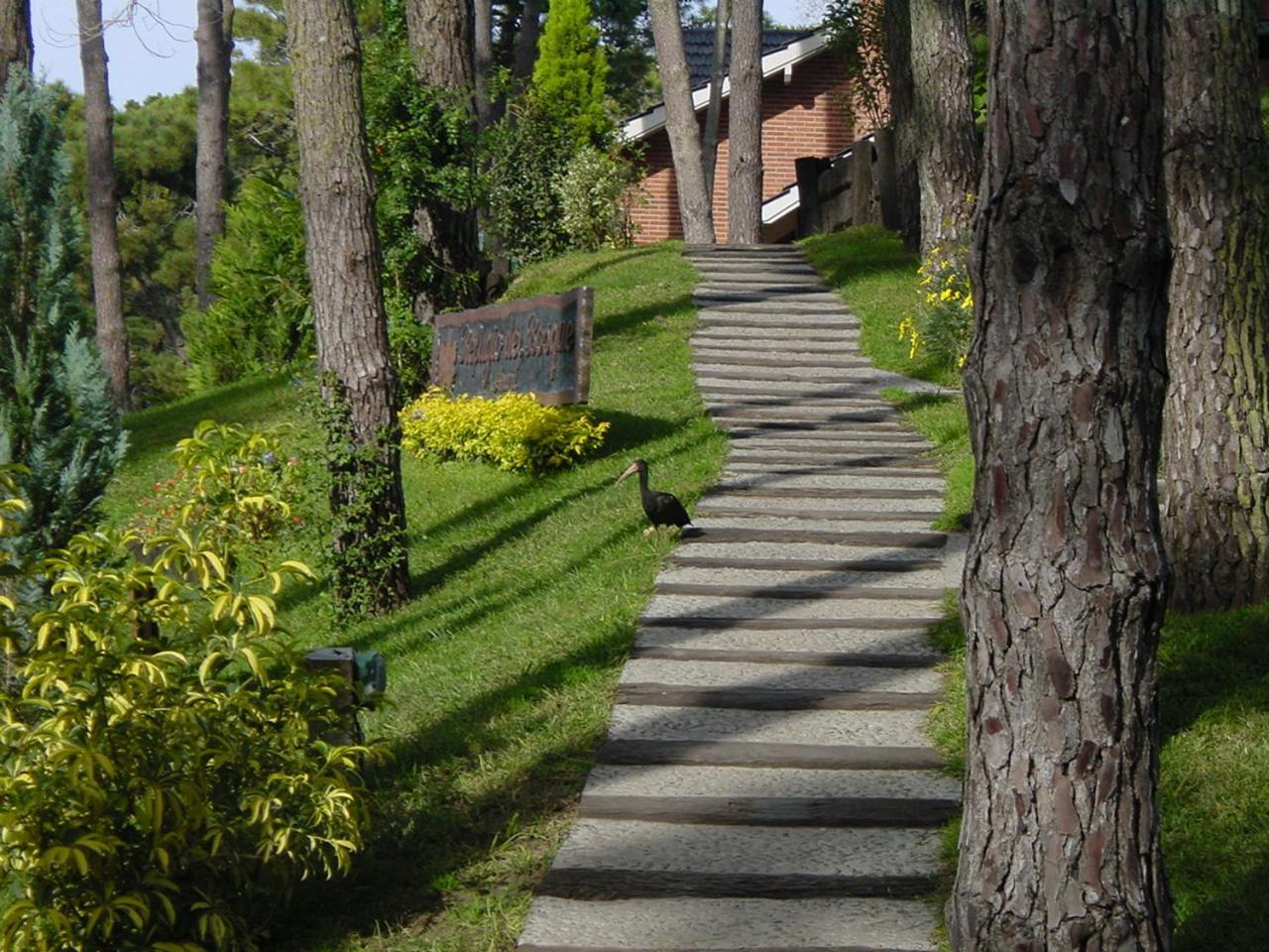 Villa Refugio del Bosque Carilo Esterno foto