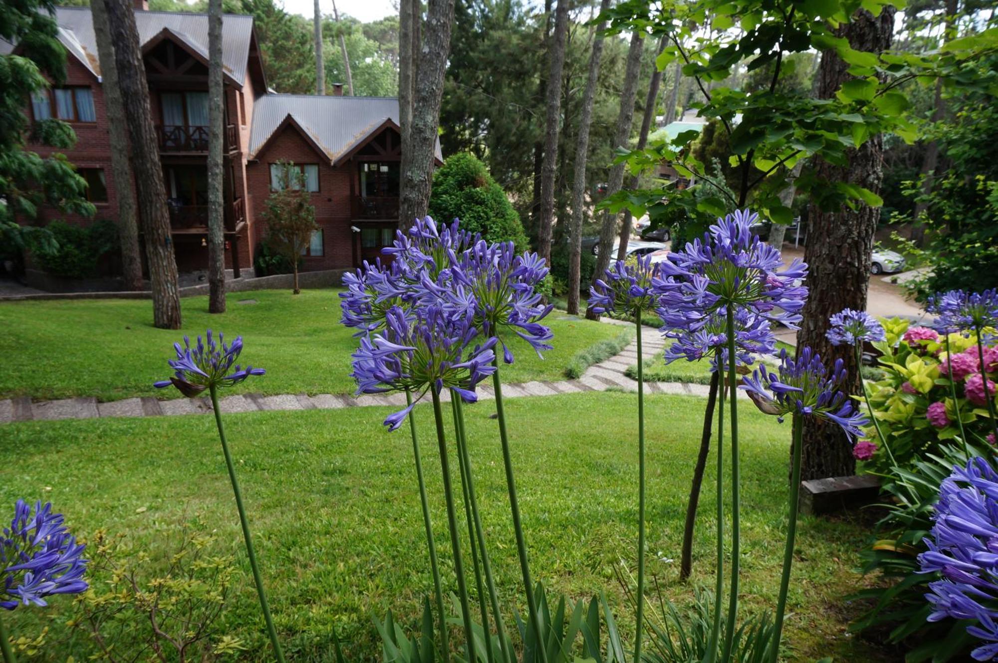 Villa Refugio del Bosque Carilo Esterno foto